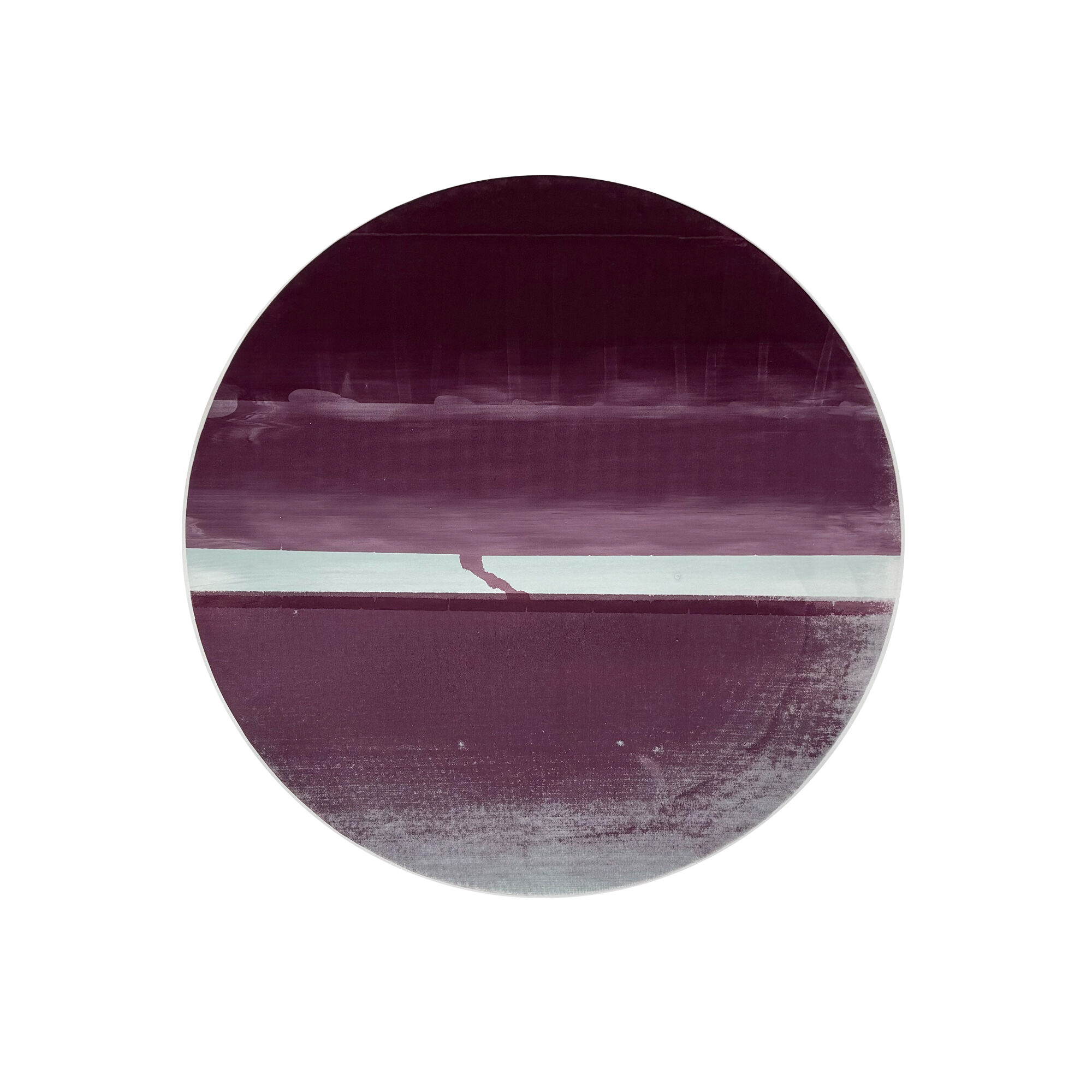 PLNTS_XL-001